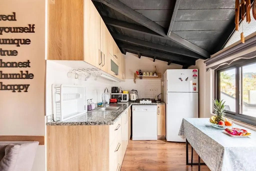 Arya Roof House Villa Marmaris